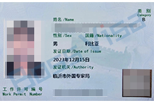 全球雇佣
