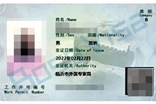 全球雇佣