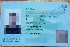 全球雇佣