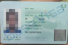全球雇佣