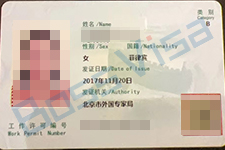全球雇佣